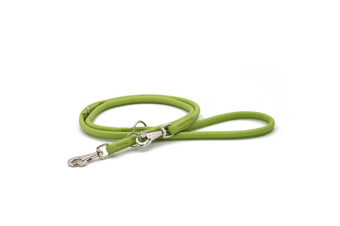 Leather leash classic