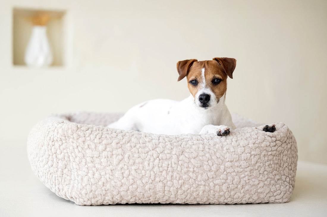 Hundebett Bellagio - Orthopädisch