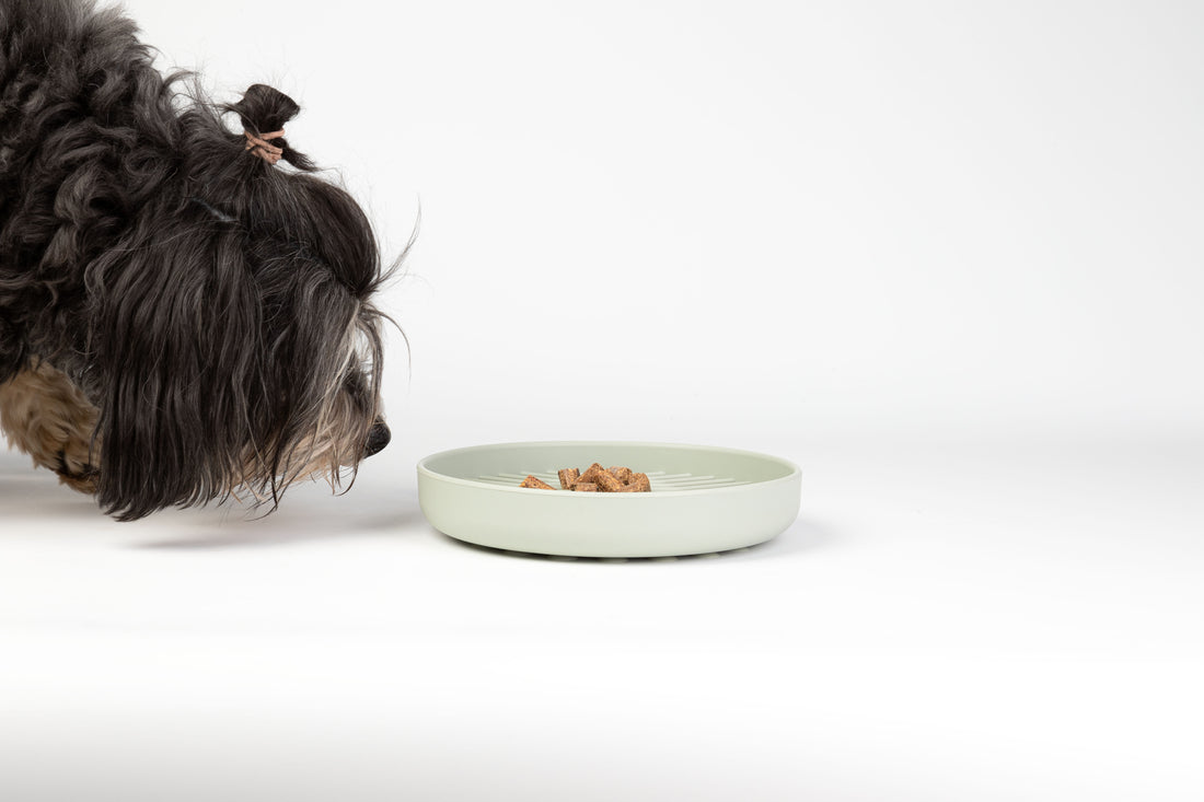 Lick’a’Round – Anti-Schling-Napf