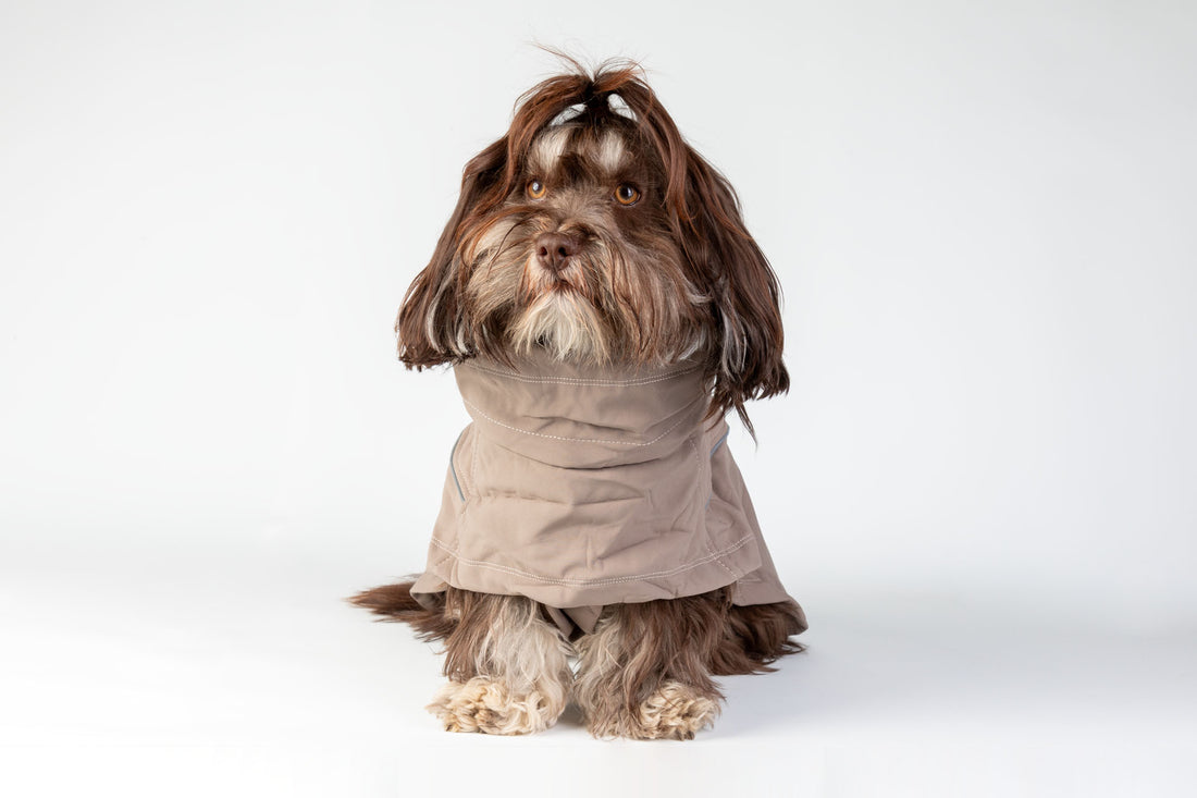 ComfortProtect Outdoor-Hundemantel