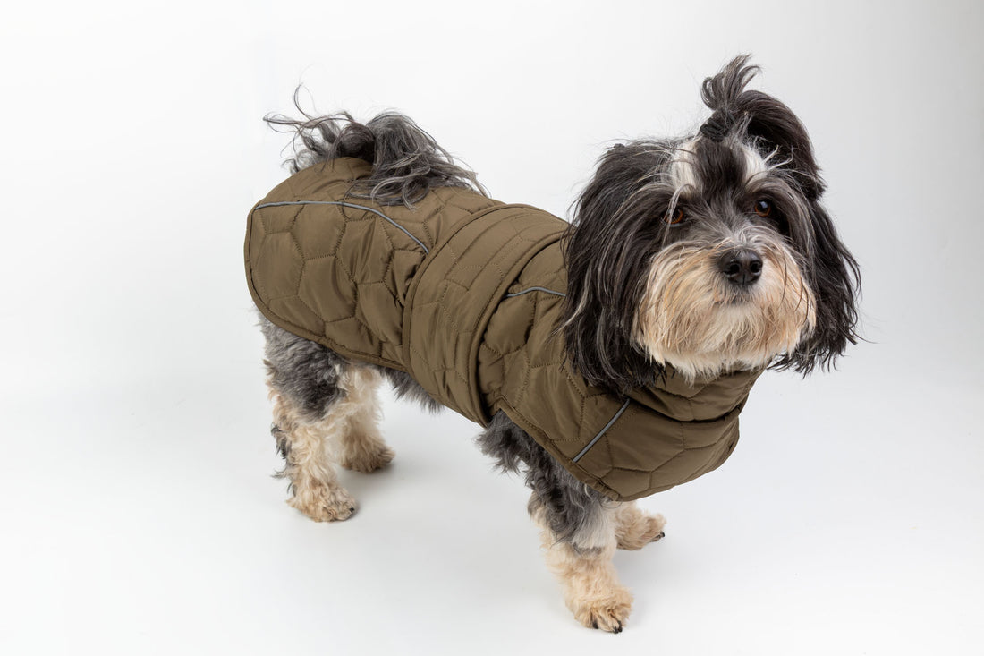 CozyWalk Hundejacke