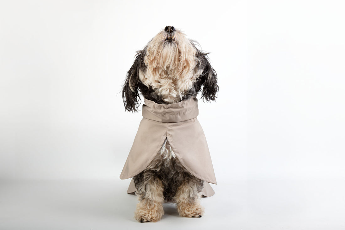 Fluff Dry Regenmantel