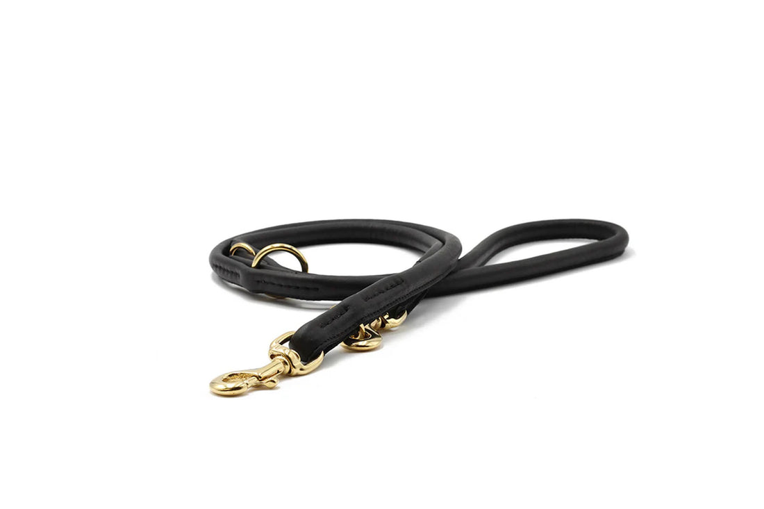 Lederleine Rund Gold