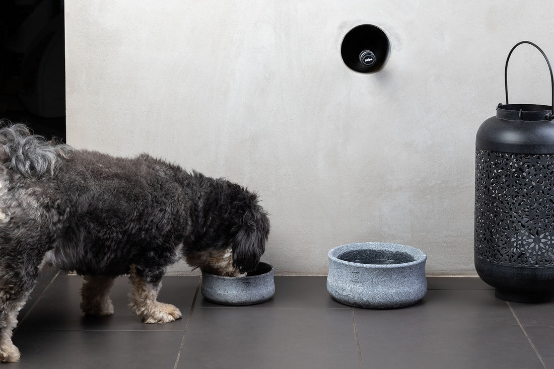 Hundenapf Speckstein