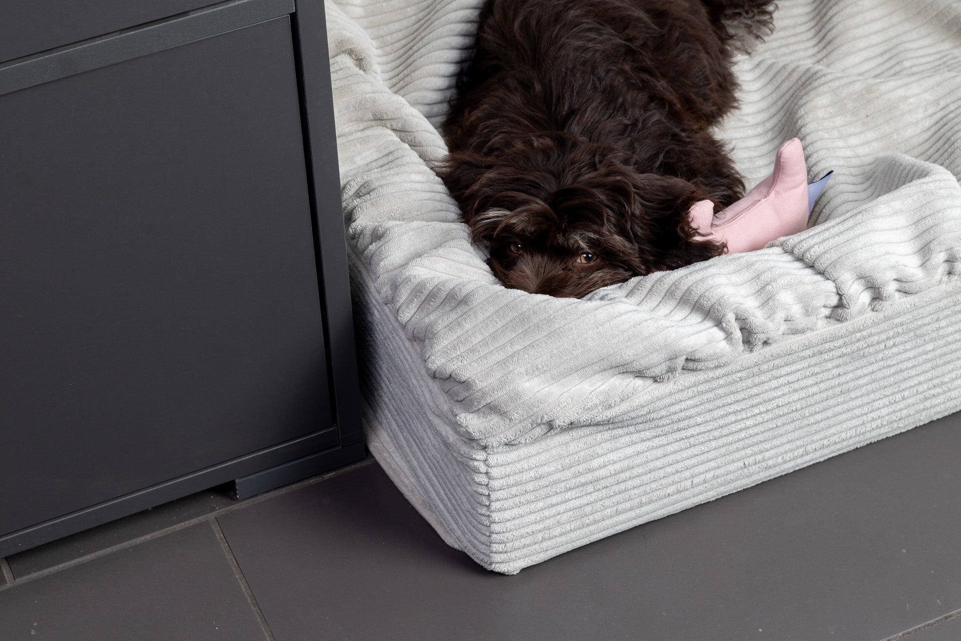 collection-banner-image