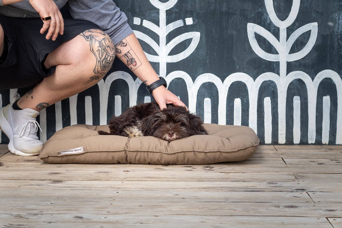 Orthopedic Country Pillow