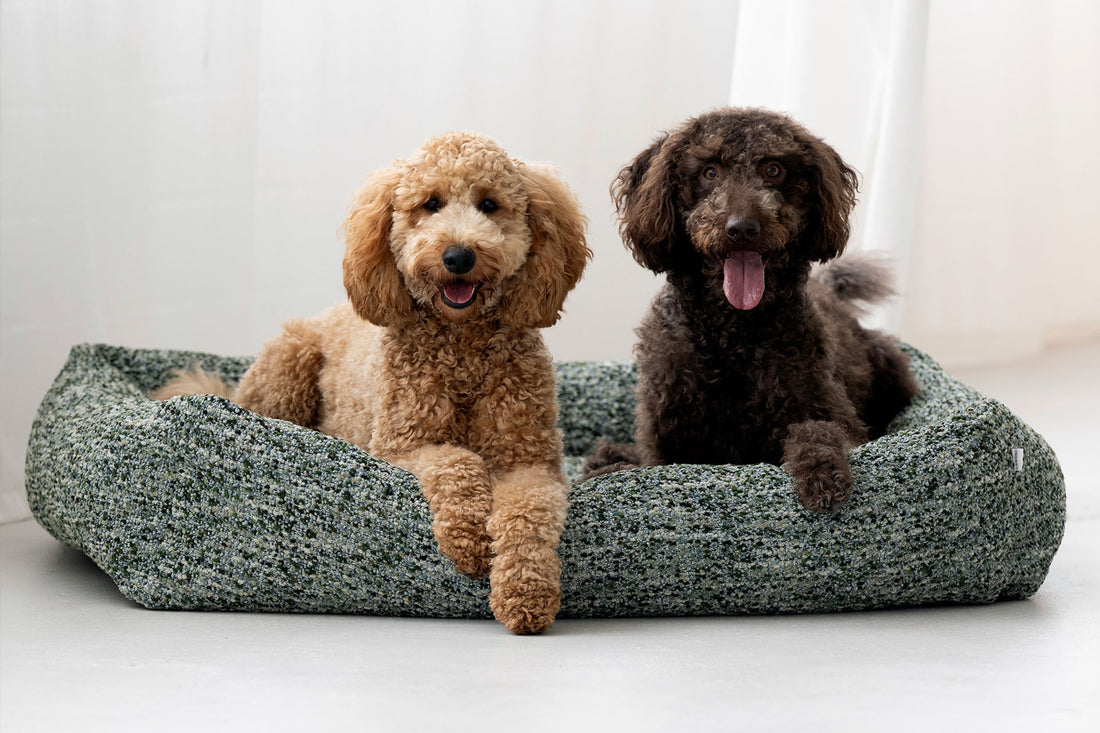 Hundebett Siena