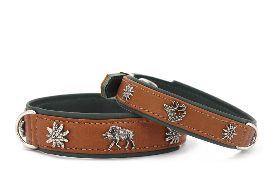 Leather collar forest