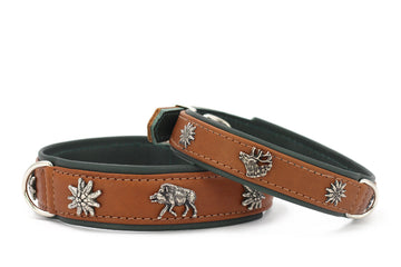 Leather collar forest