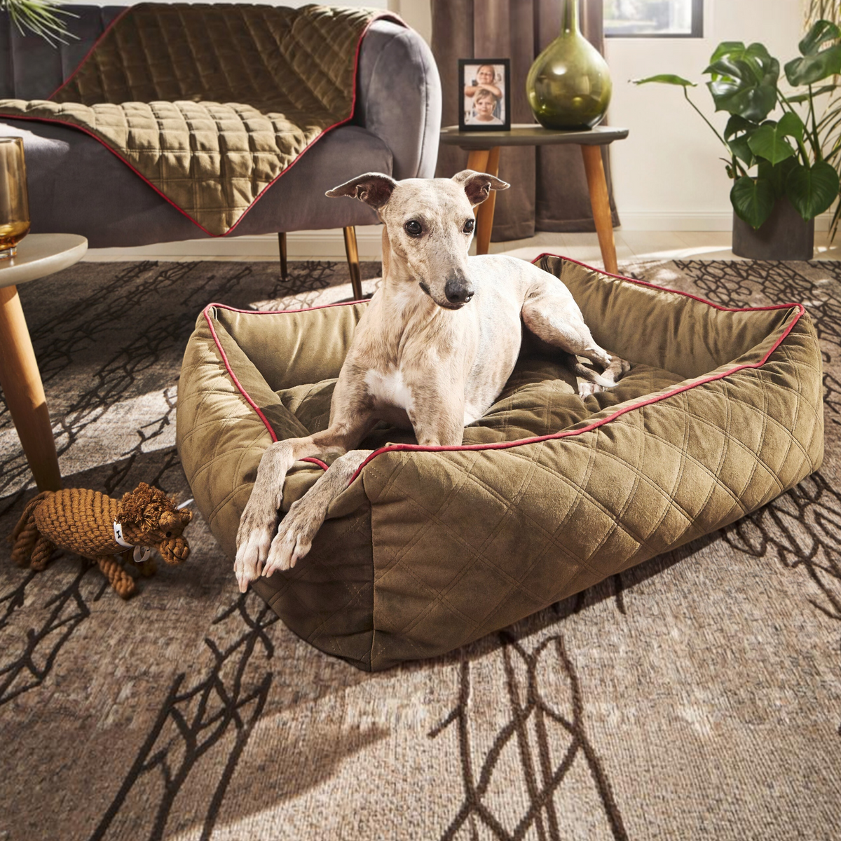 havaneser.shop Hundebett Oxford in Olivgrün mit Steppstoff, rotem Keder und bequemer Füllung für kleine Hunde
