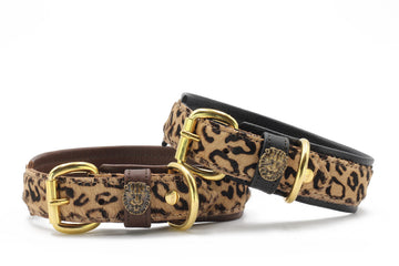 Lederhalsband Afrika