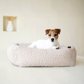havaneser.shop Hundebett Bellagio in Beige mit orthopädischer Matratze und Jack Russell Terrier