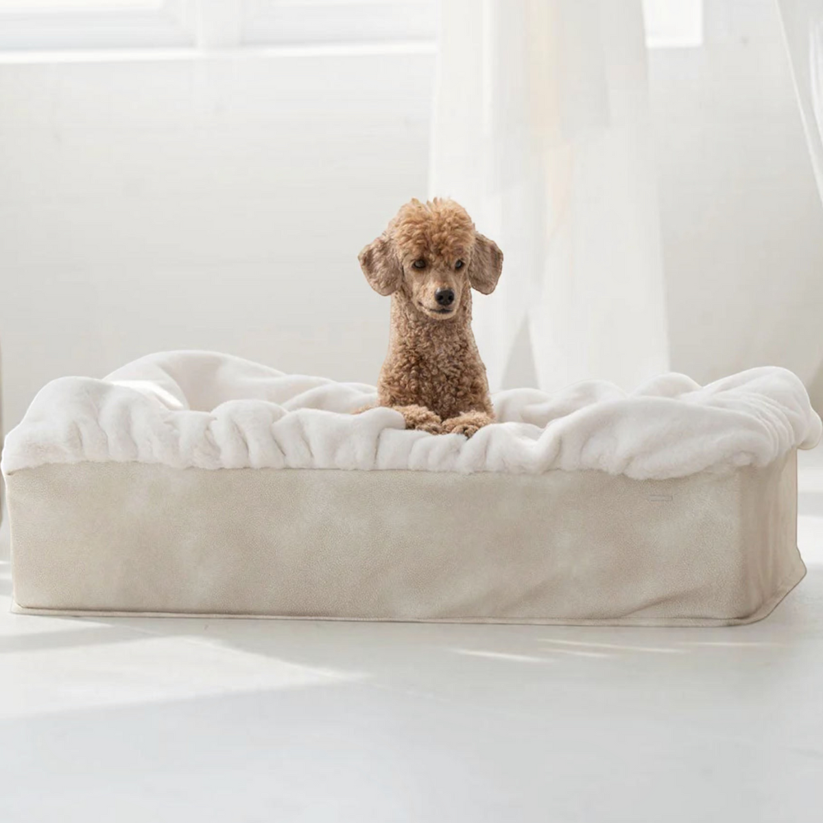 havaneser.shop Buddelbox Hundebett aus weichem Webpelz mit beigem Stoffbezug und Pudel in einem hellen Raum
