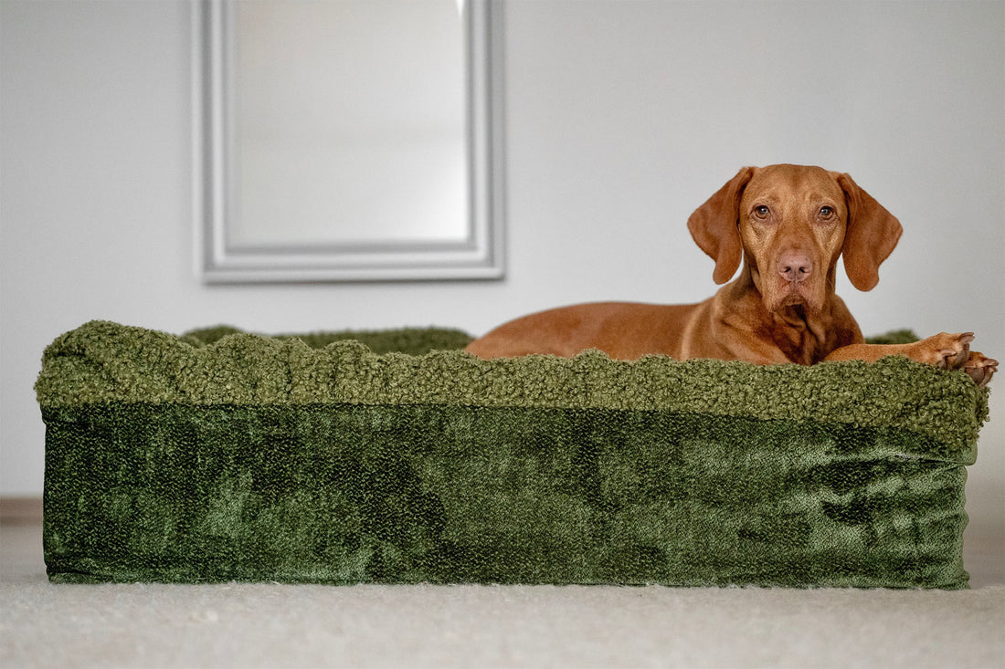 Hundebett Buddelbox Stoff