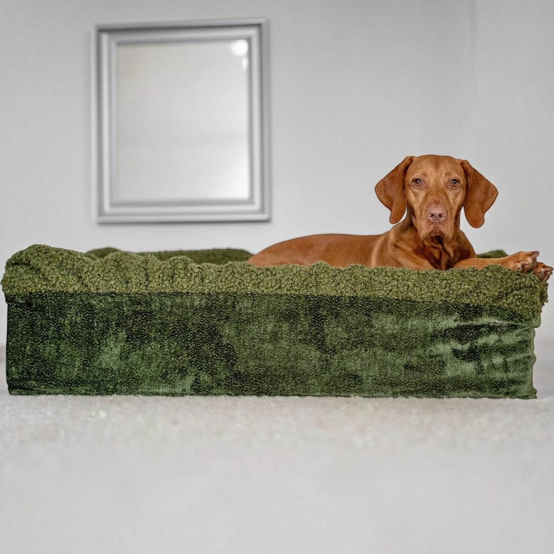 havaneser.shop Buddelbox Hundebett in Olivgrün mit weichem Webpelz für kleine Hunde zum Graben und Kuscheln