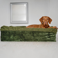 havaneser.shop Buddelbox Hundebett in Olivgrün mit weichem Webpelz und liegendem Vizsla Hund