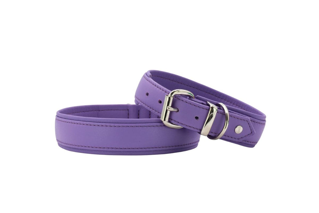 Lederhalsband Color Pop