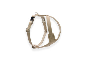 Hundegeschirr Leder