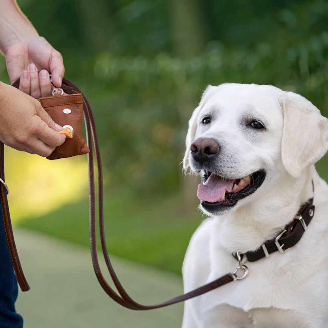 havaneser.shop Poo-Bag aus olivgrünem Nappaleder mit Karabinerhaken für Hundekotbeutel