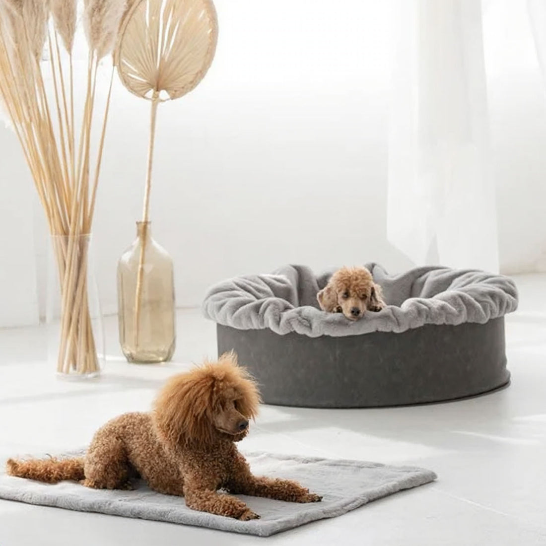 Hundebett Buddelnest® Kunstleder