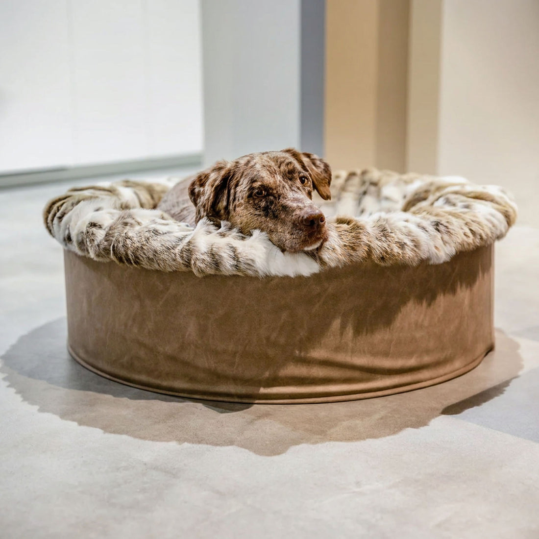 Hundebett Buddelnest® Luchs
