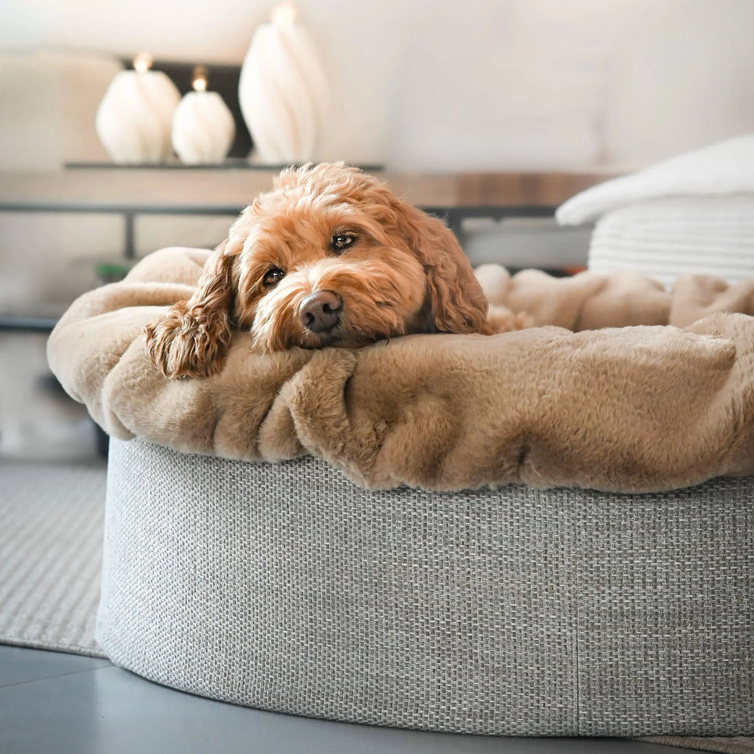 Hundebett Buddelnest® Stoff