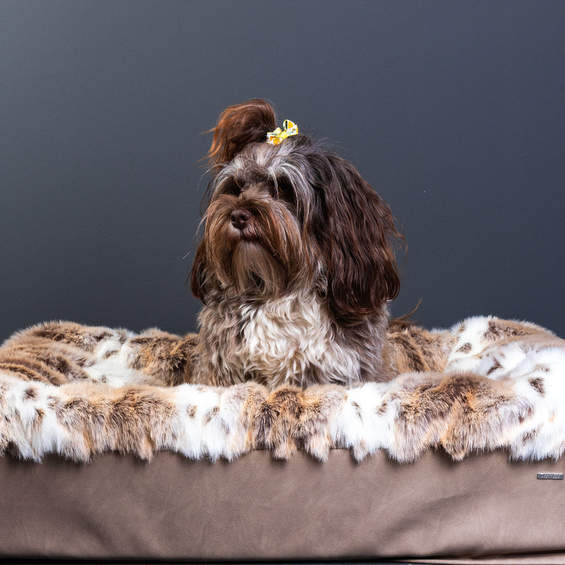 havaneser.shop Hundebett Buddelbox Luchs mit weichem Webpelz in Beige und brauner, wasserfester Unterseite