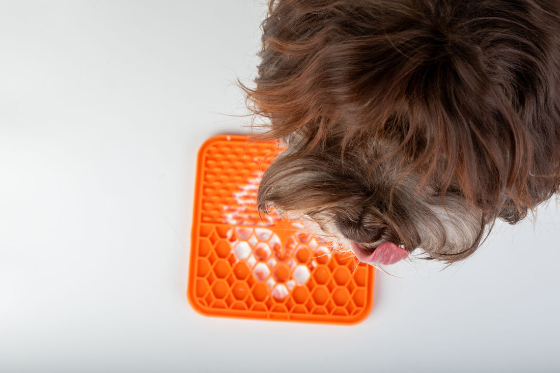 Chill & Lick – Schleckmatte