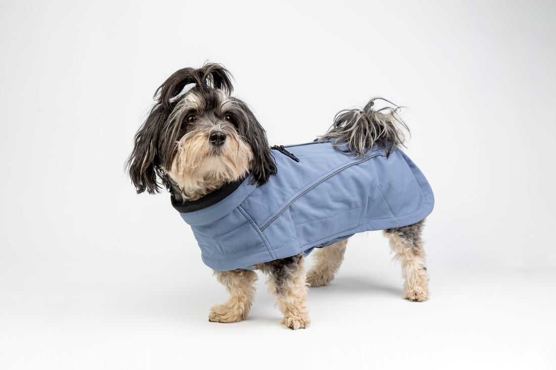 Fluff Dry - ComfortProtect