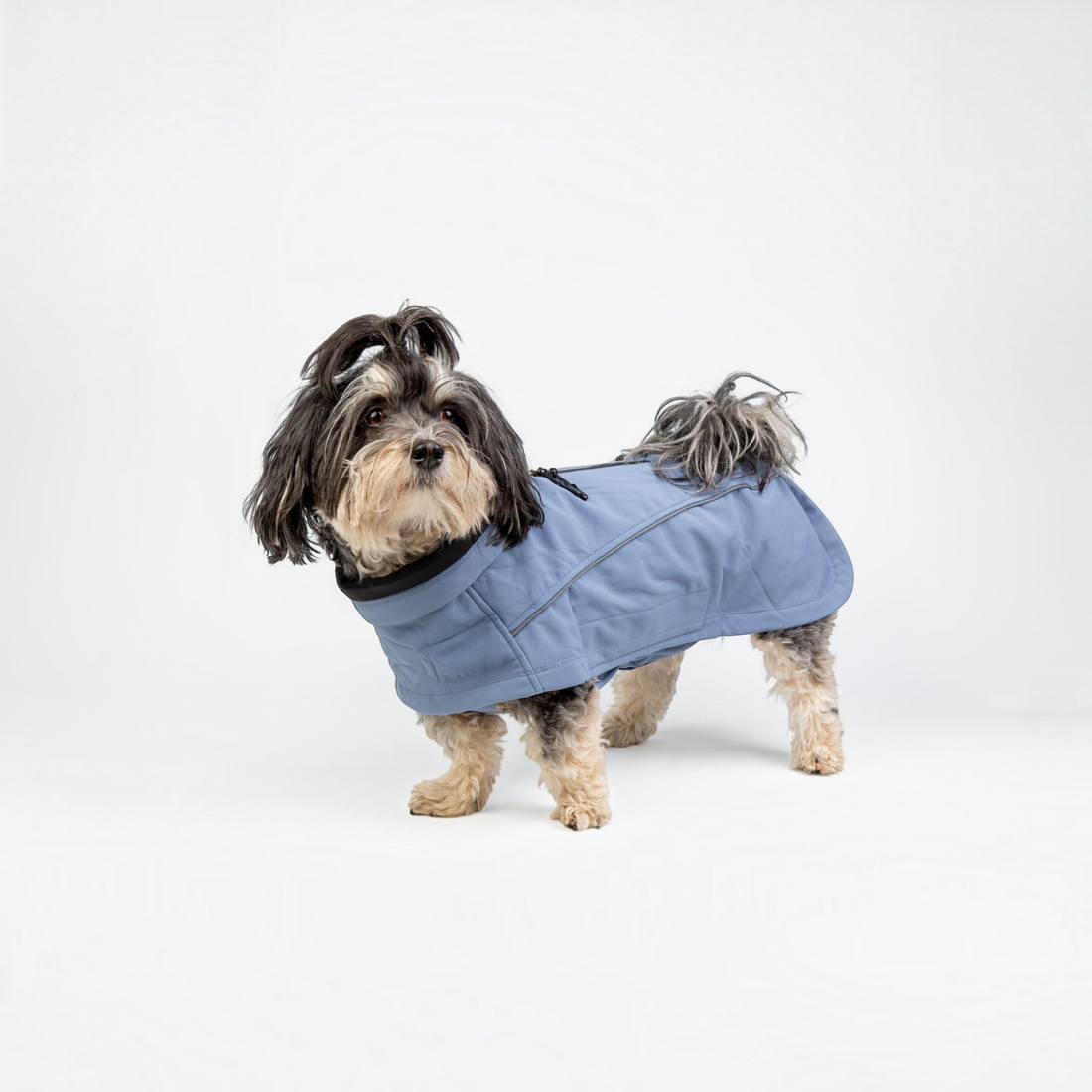 havaneser.shop Fluff Dry ComfortProtect Hundemantel in Hellblau mit reflektierenden Details und verstellbarem Kragen