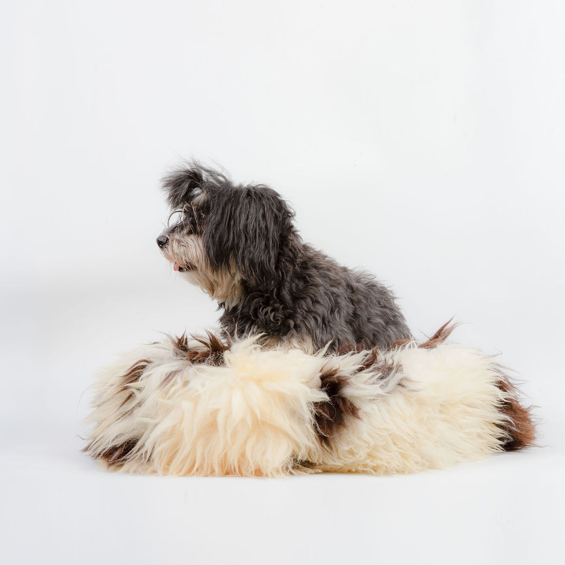 Hundedonut Schaffell