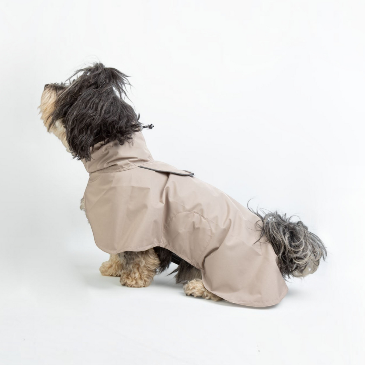 havaneser.shop Fluff Dry Regenmantel in Beige für kleine Hunde, wasserabweisend mit reflektierenden Details