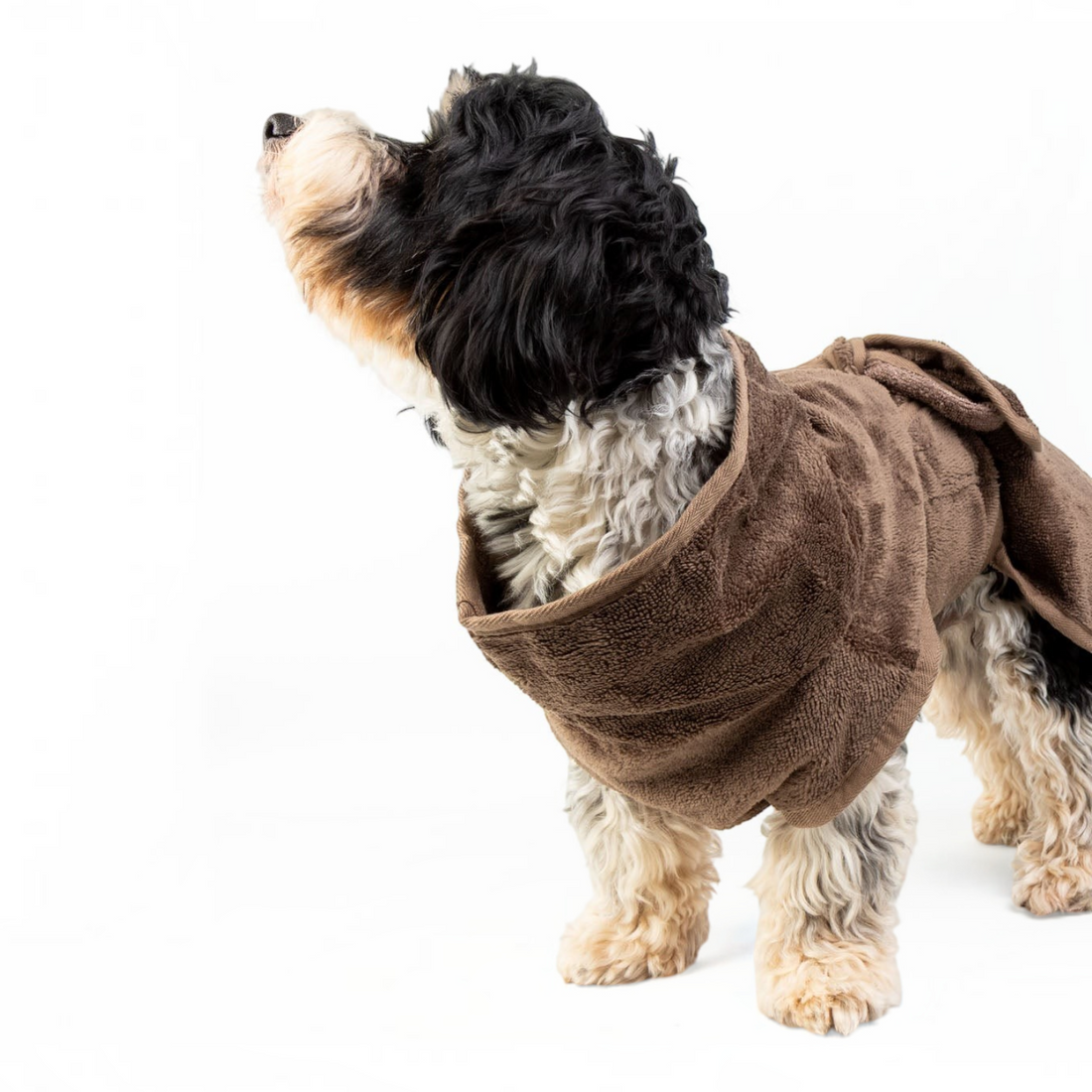 havaneser.shop Fluff Fresh Bademantel aus braunem Bambusfrottee mit verstellbarem Riemen für Hunde