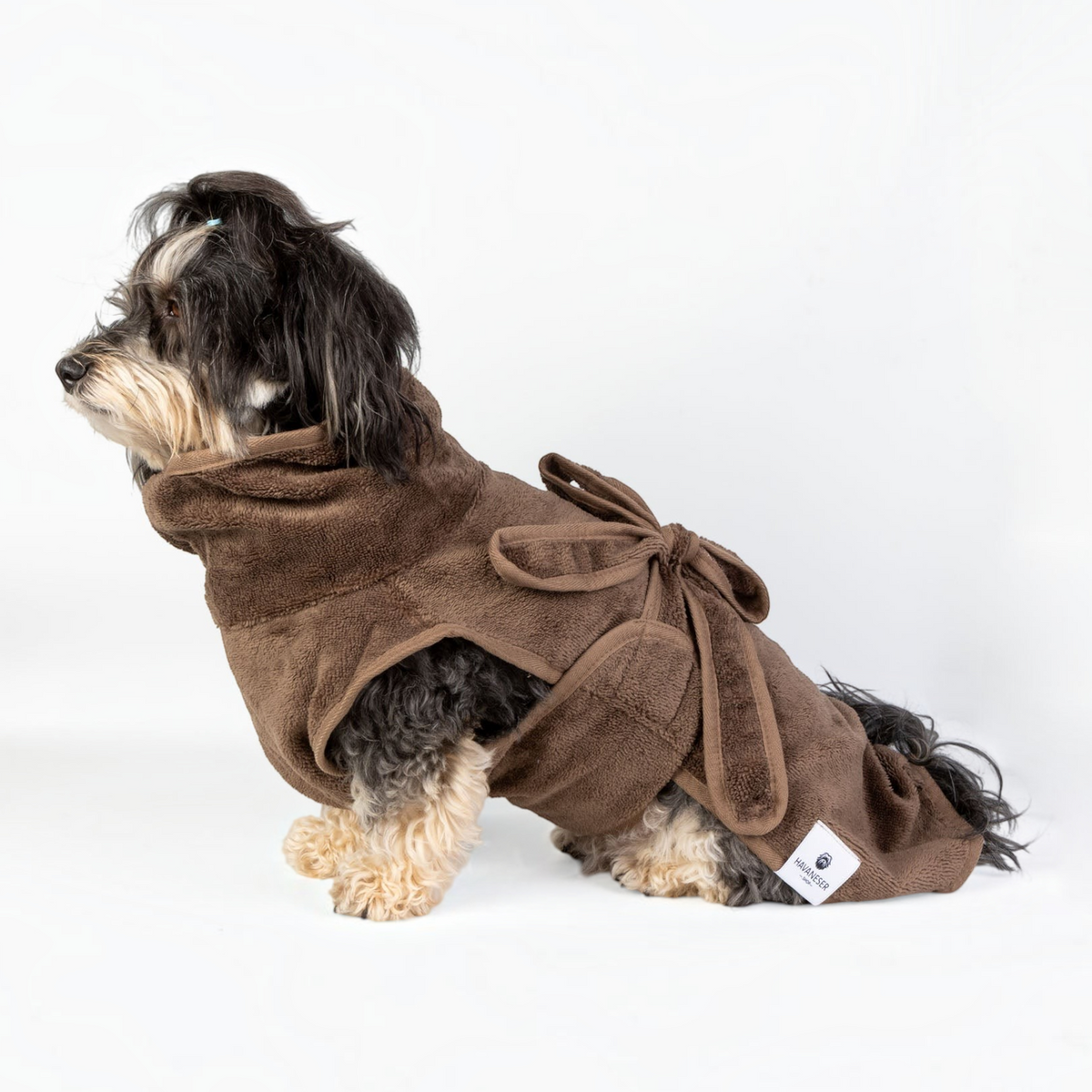 havaneser.shop Fluff Fresh Bademantel aus braunem Bambusfrottee für Hunde, getragen von einem Havaneser im Profil
