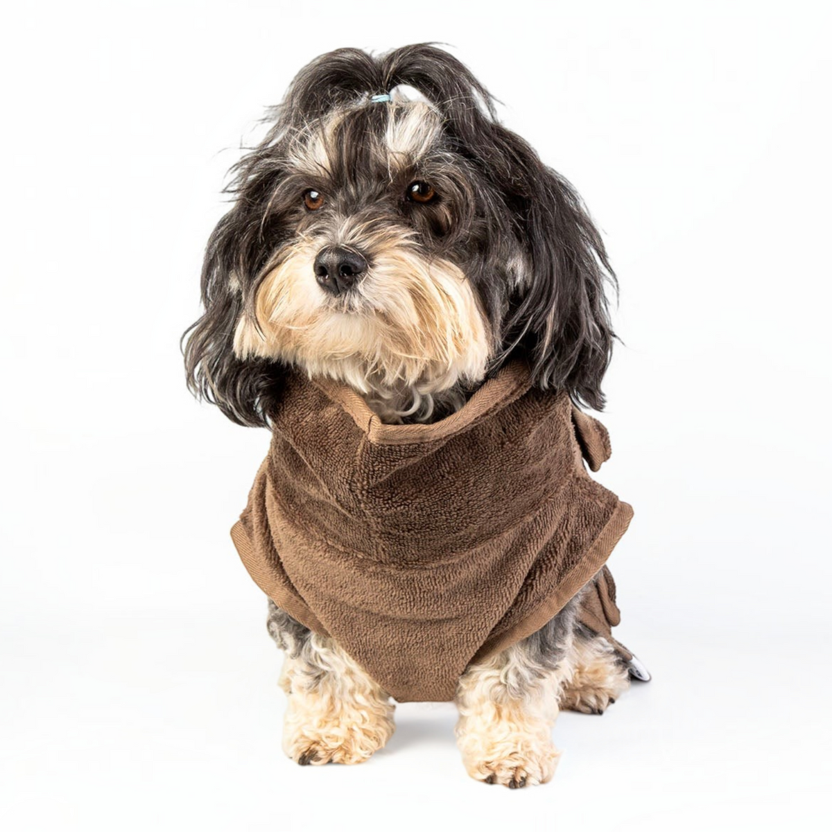 havaneser.shop Fluff Fresh Bademantel aus braunem Bambusfrottee an einem Havaneser Hund vor weißem Hintergrund