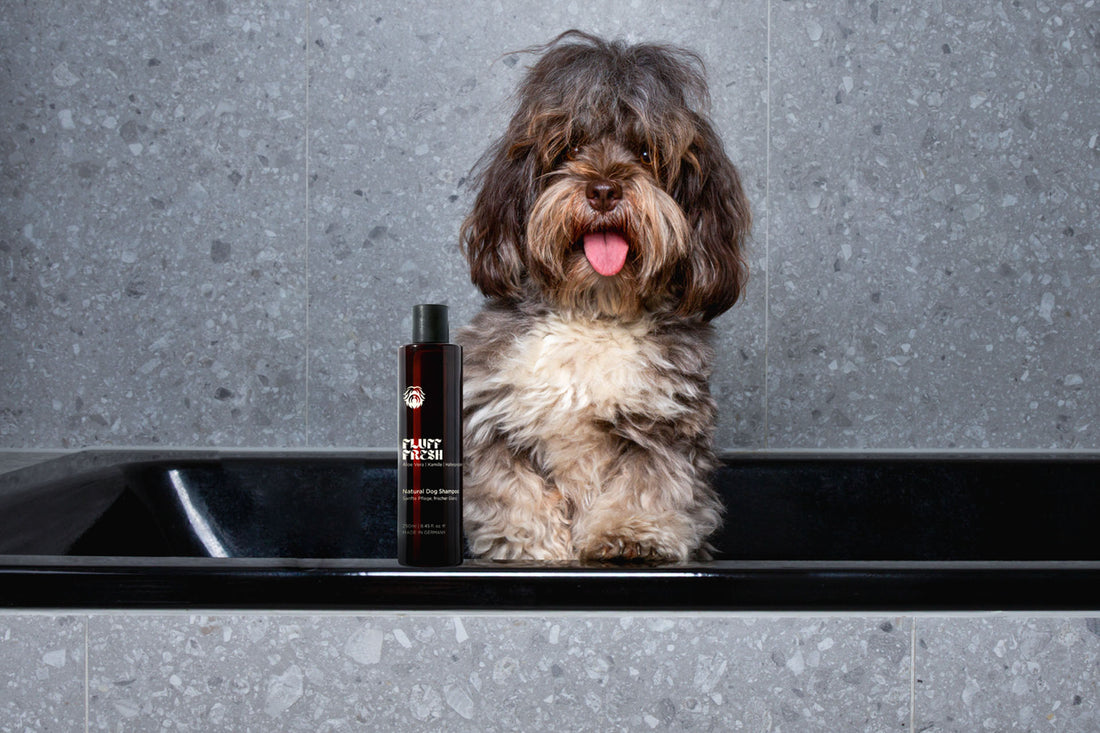 Fluff Fresh - Natural Dog Shampoo