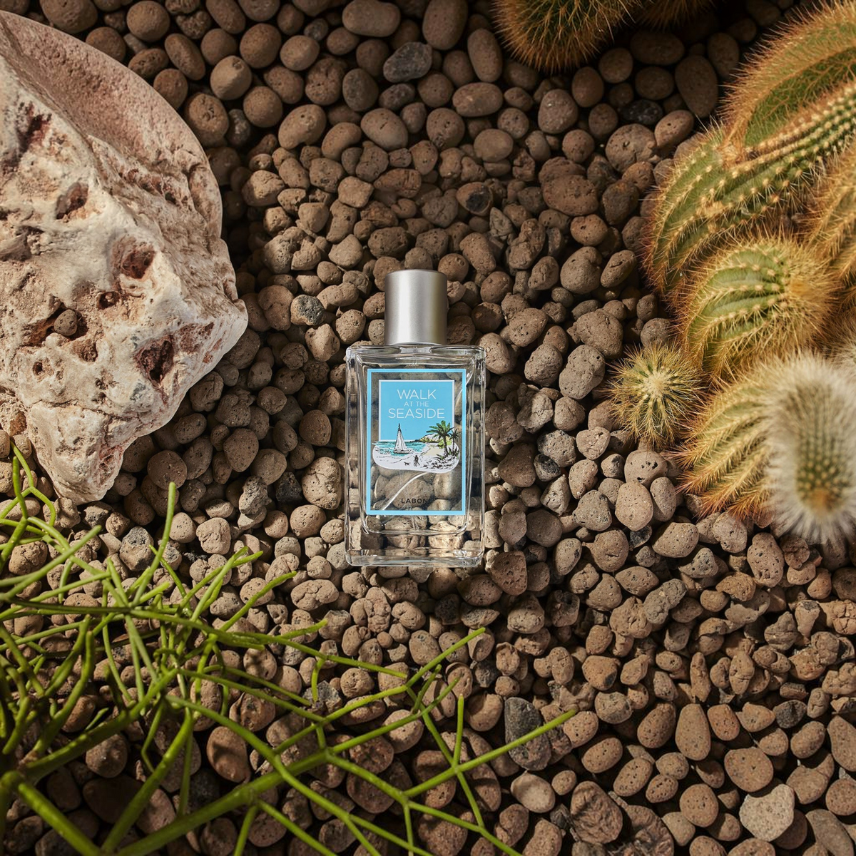 havaneser.shop Raumduft Walk at the Seaside in einer eleganten Glasflasche auf einem Bett aus Steinen und Kakteen