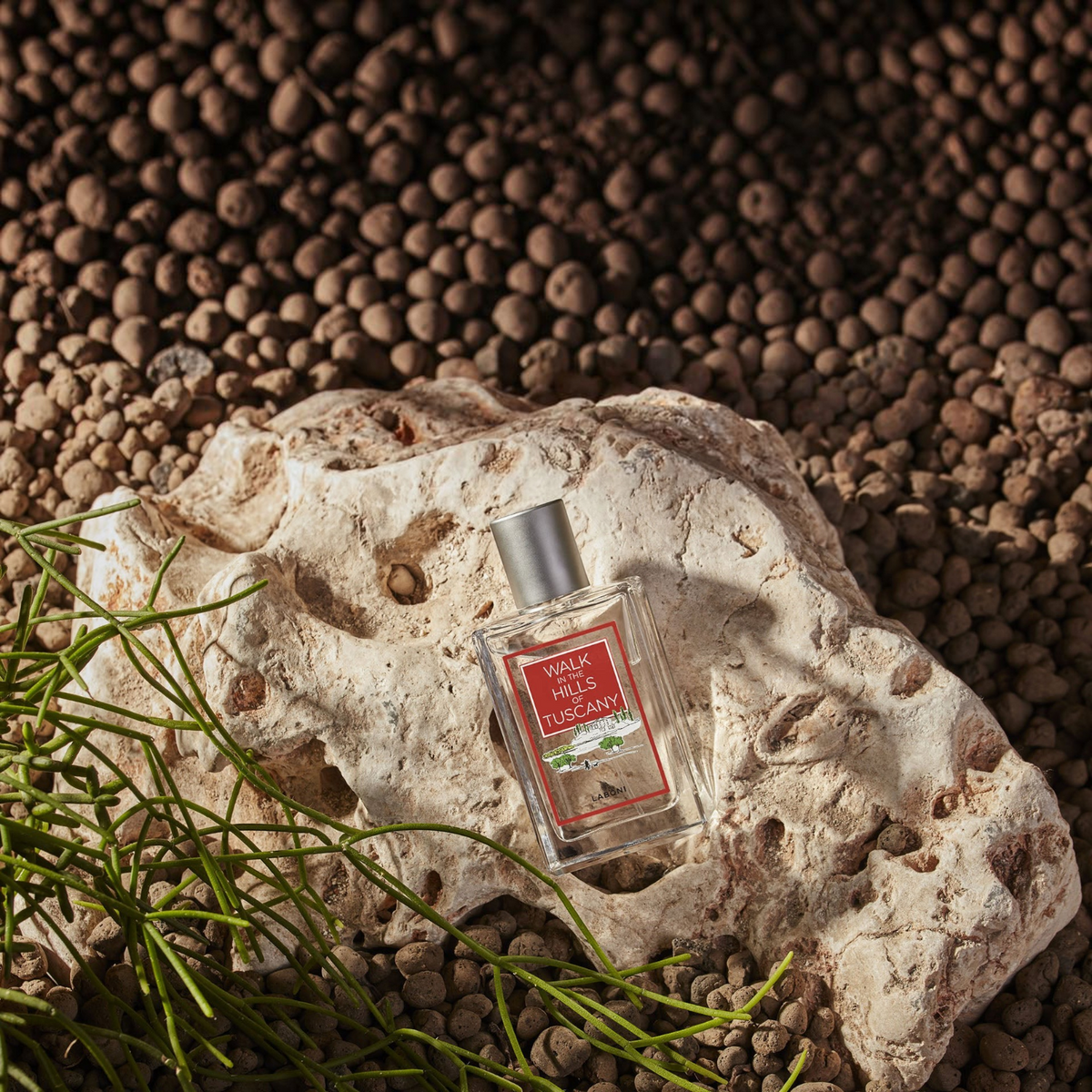 havaneser.shop Raumduft Walk in the Hills of Tuscany in einer eleganten Glasflasche auf einem Stein mit Grünpflanze