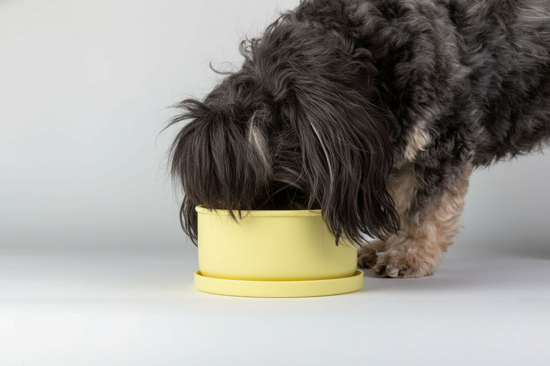 On-the-Go Duo | Trinkflasche & Snackbox