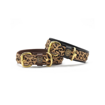 havaneser.shop Lederhalsband Afrika mit Leopardenmuster, weichem Nappaleder und robusten goldenen Metallbeschlägen