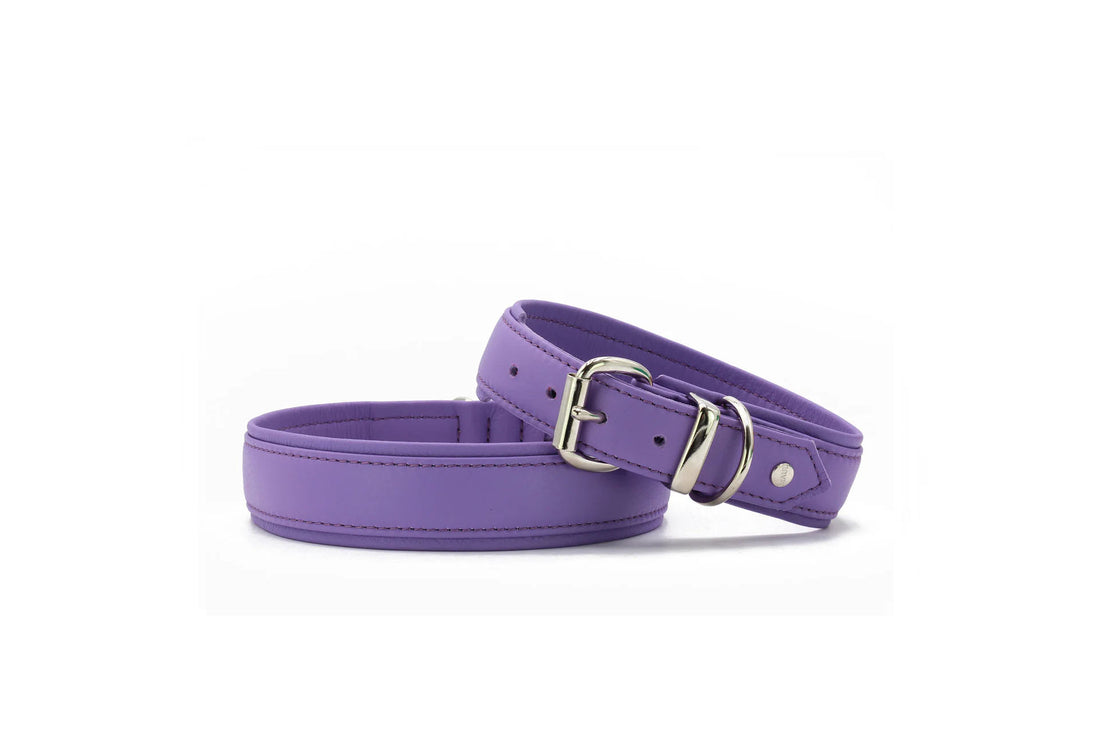 Lederhalsband Color Pop