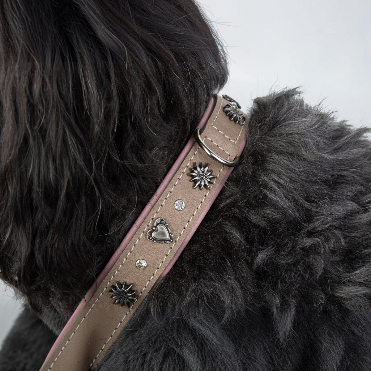 havaneser.shop Lederhalsband Herz in Beige und Rosa mit Edelweiß-Applikationen, Herzmotiven und funkelnden Kristallen
