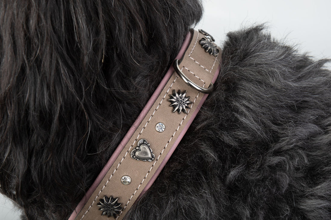 Lederhalsband Herz