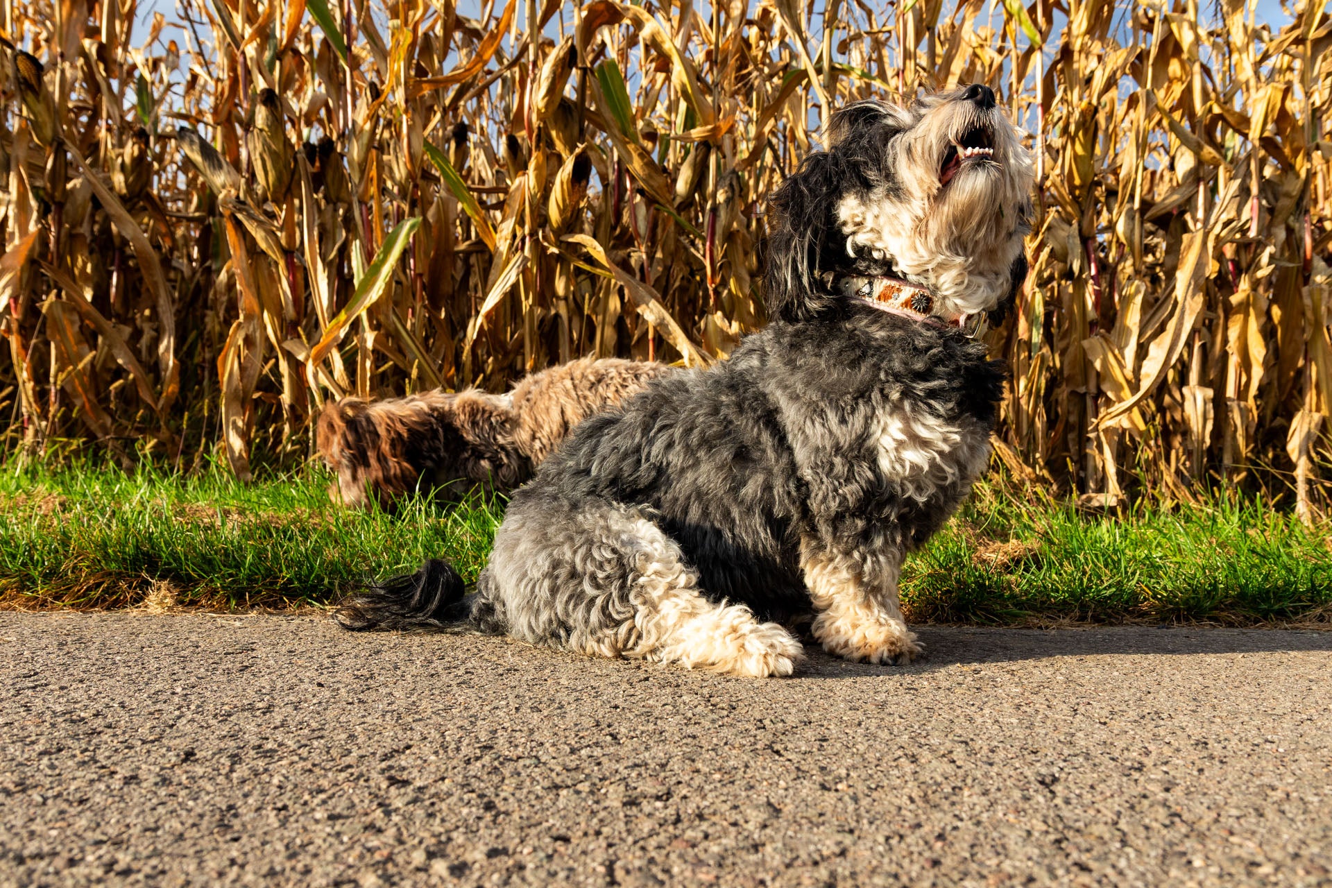 slider image 1621243260e1af0c20-1