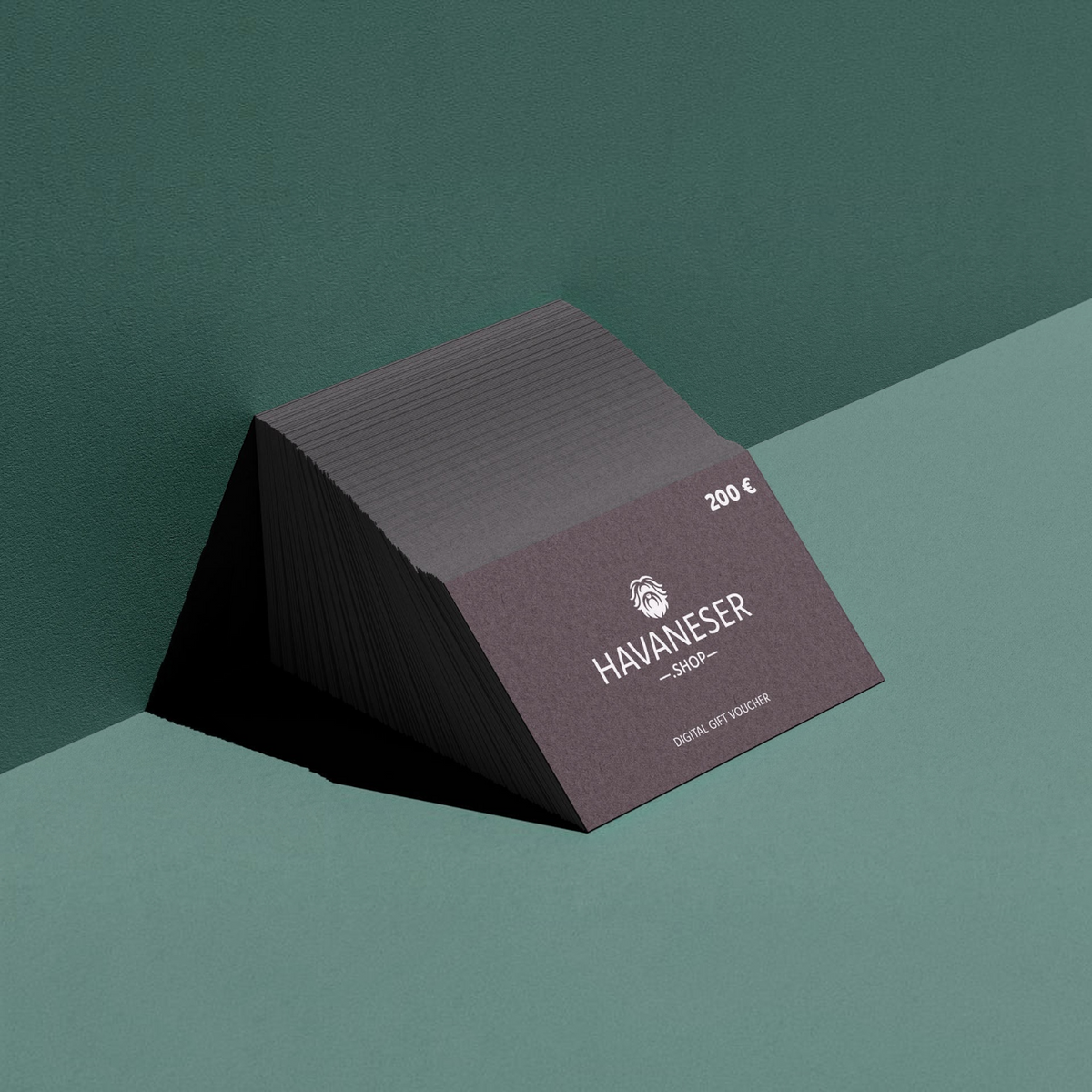 havaneser.shop Geschenkgutschein im Wert von 200 Euro auf einem dunklen, minimalistischen Hintergrund
