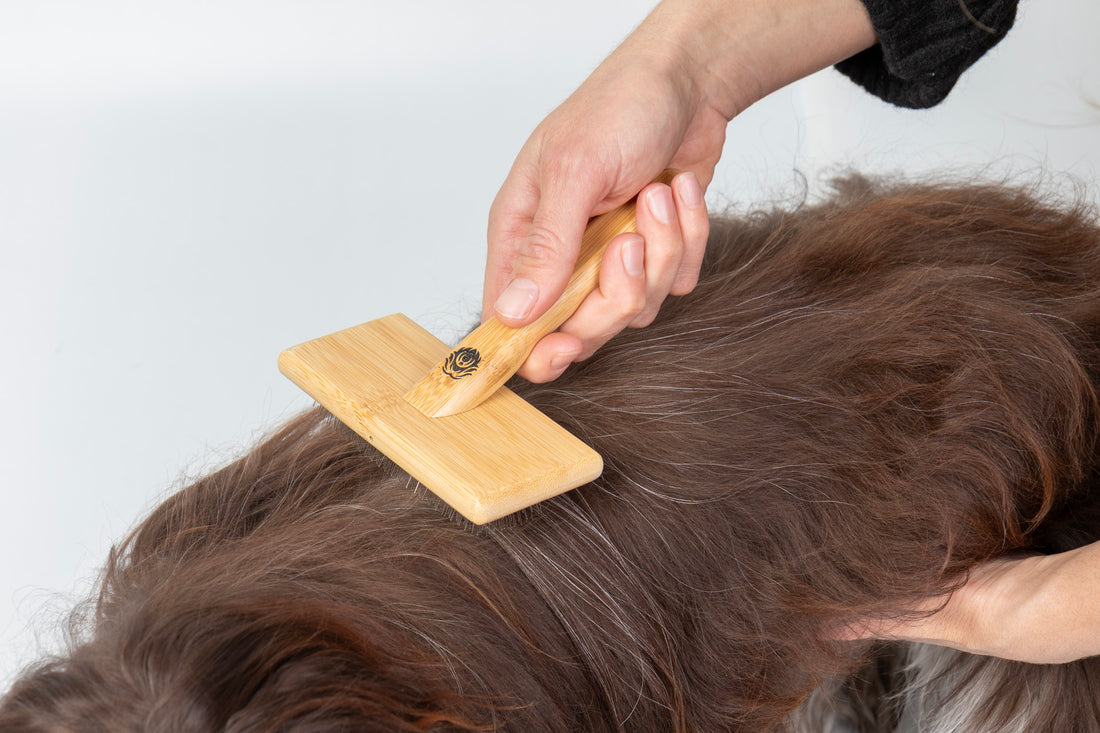 Fluff Fresh Bürste Big