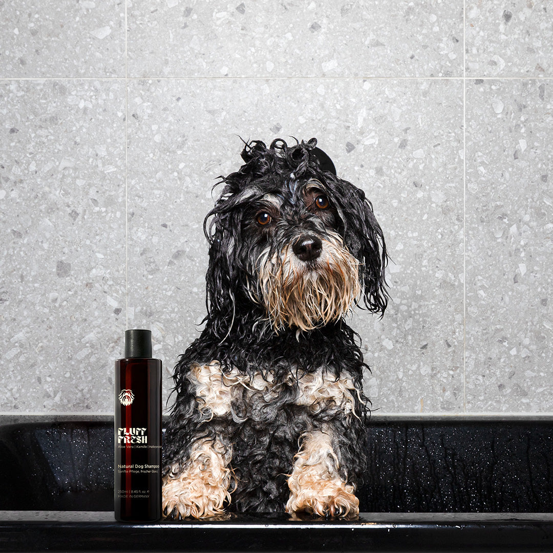 Fluff Fresh - Natural Dog Shampoo