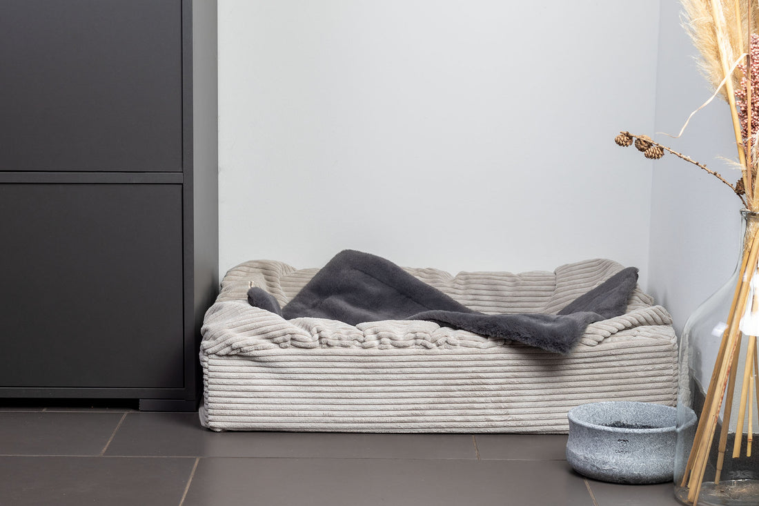 Dog bed digging box cord
