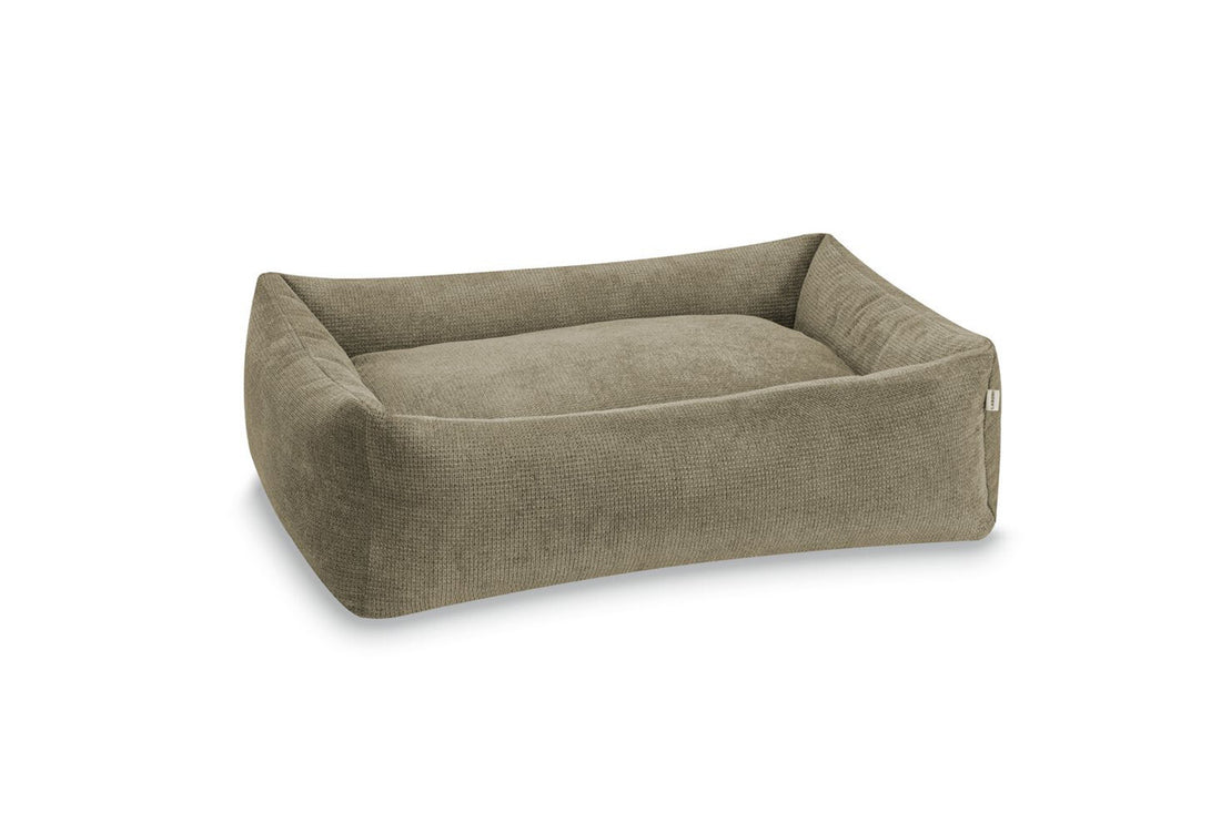 Hundebett Design Lounge
