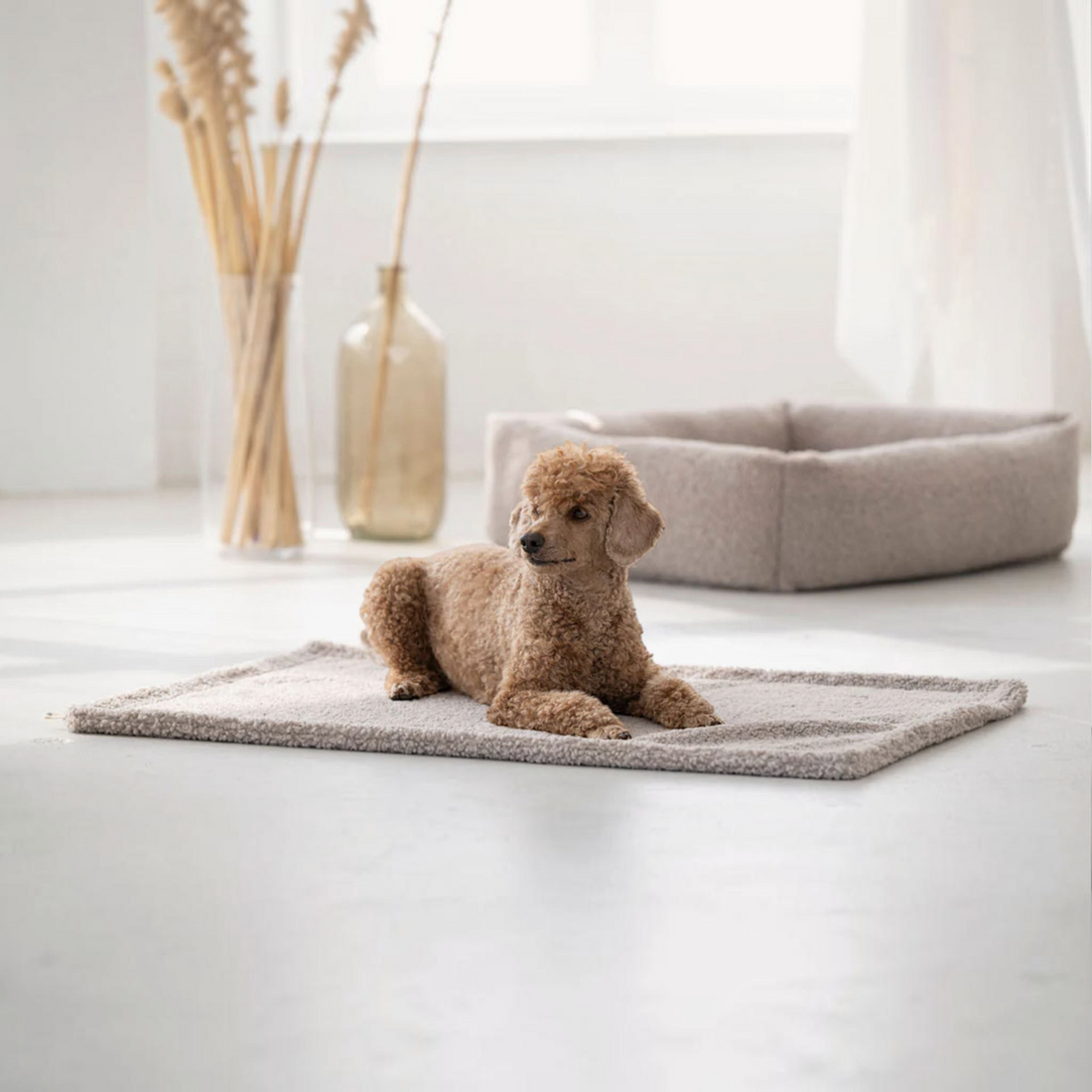 havaneser.shop Teddy-Hundedecke in Beige, flauschige und wattierte Unterlage für Hunde auf hellem Boden